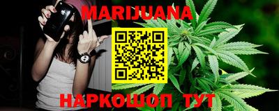 шишки Можга