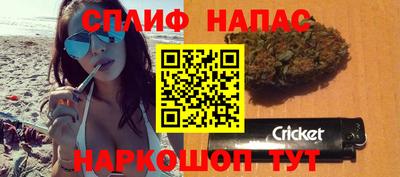 шишки Можга