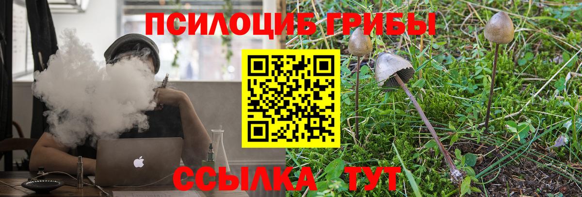 Псилоцибиновые грибы Cubensis Тейково
