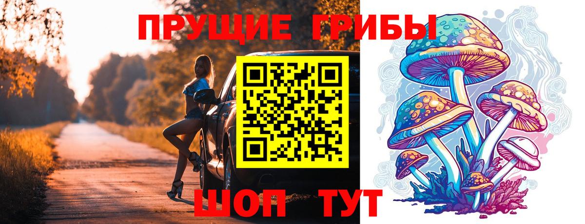 Псилоцибиновые грибы мухоморы  Вход с VPN  Псилоцибиновые грибы прущие грибы  Тейково 